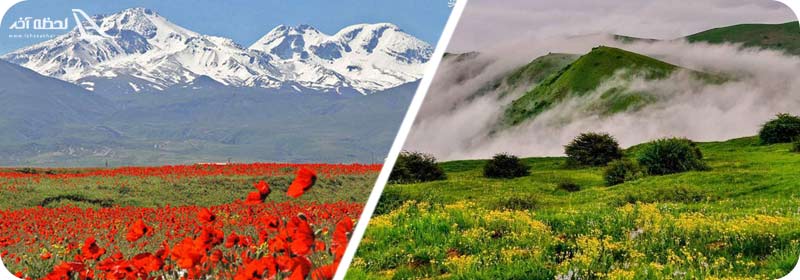 جنگل فندقلو و کوه سبلان اردبیل