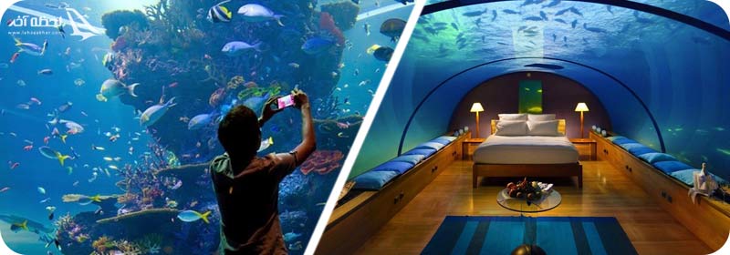 امکانات آکواریوم دبی
