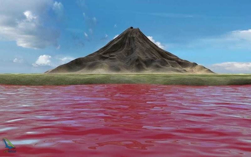 گورستان پرندگان