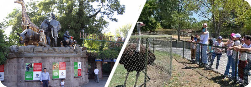 آدرس باغ وحش آنکارا