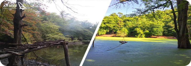 عکس مرداب هسل