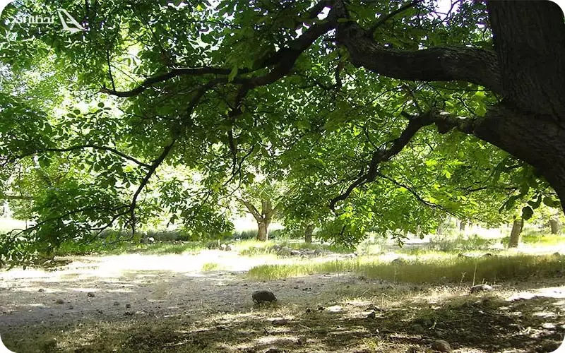 کوهستانی چهارگنبد