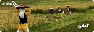 شهرهای استان گیلان