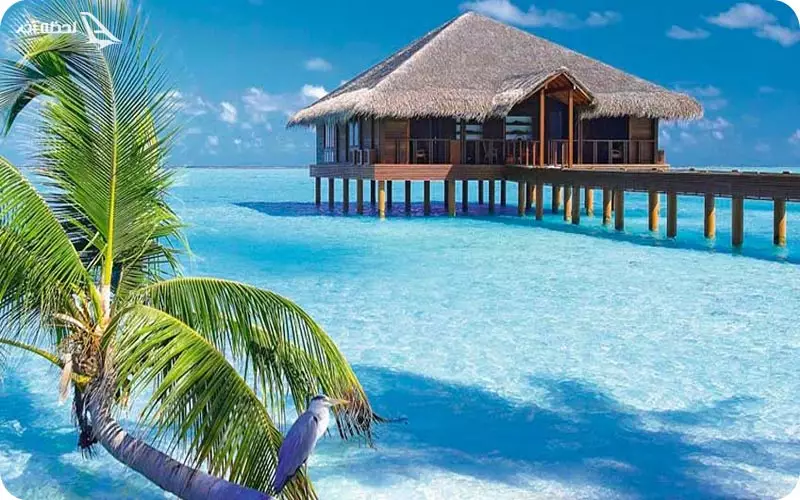 جزایر مالدیو