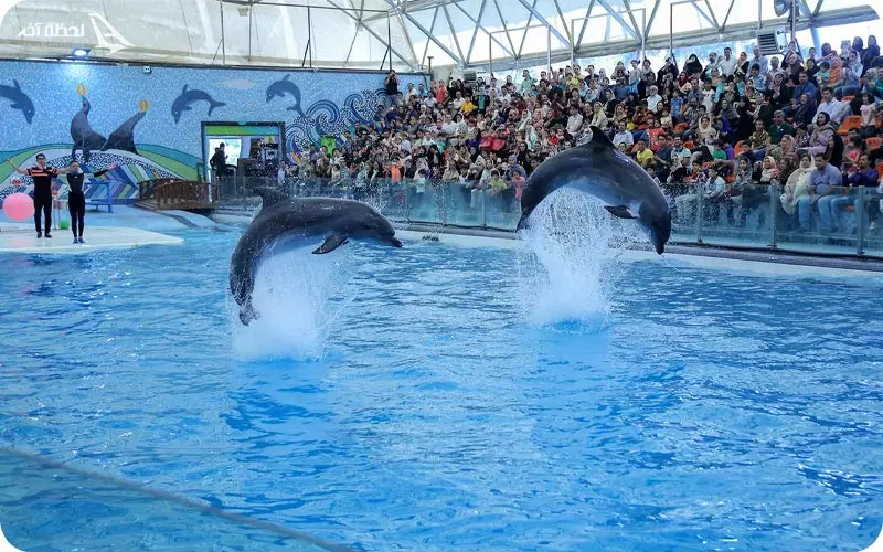 دلفیناریوم