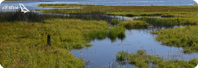 ماهیگیری در مازندران