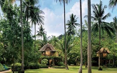 رایا وادی کرابی