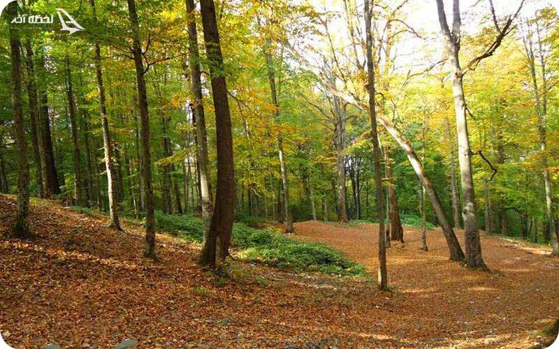 پارک ملی گللستان