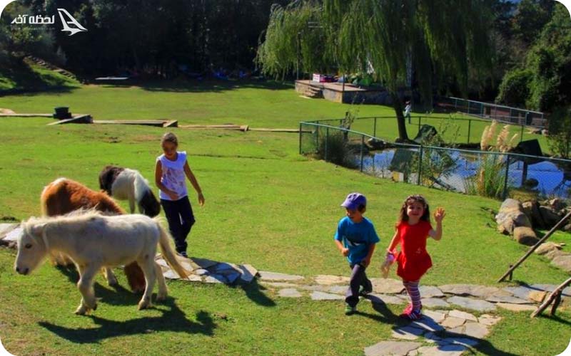 باغ وحش پولونزکوی