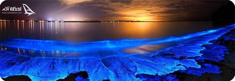 ساحل درخشان و عجیب جرویس