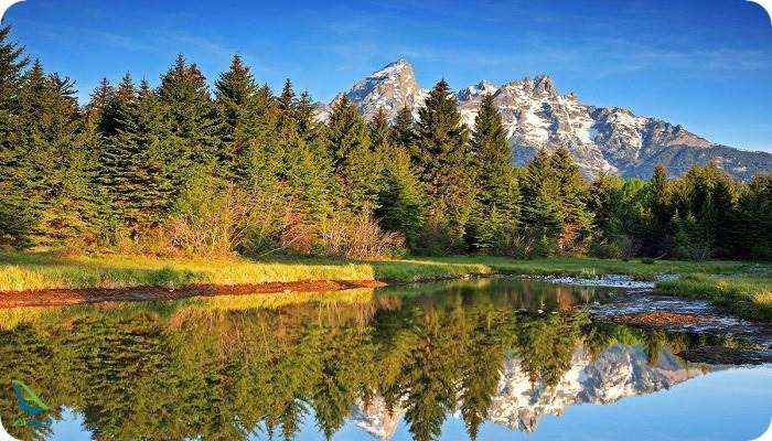 دریاچه جنی آمریکا