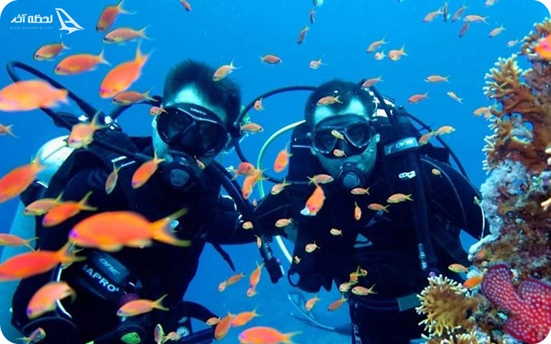 امکانات آکواریوم آنتالیا