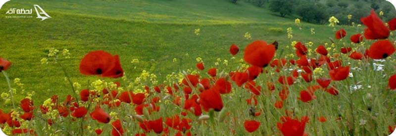 طبیعت روستا