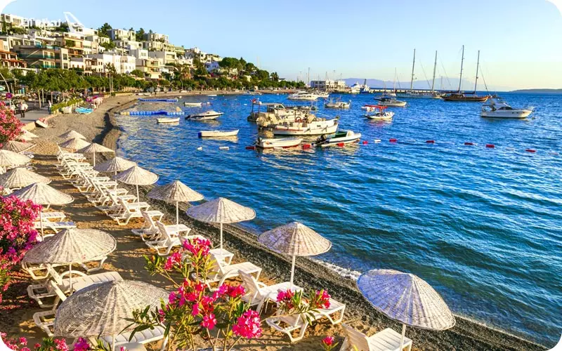 جمعیت بدروم