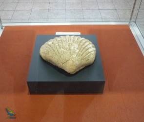 پارینه سنگی جدید موزه ملی ایران