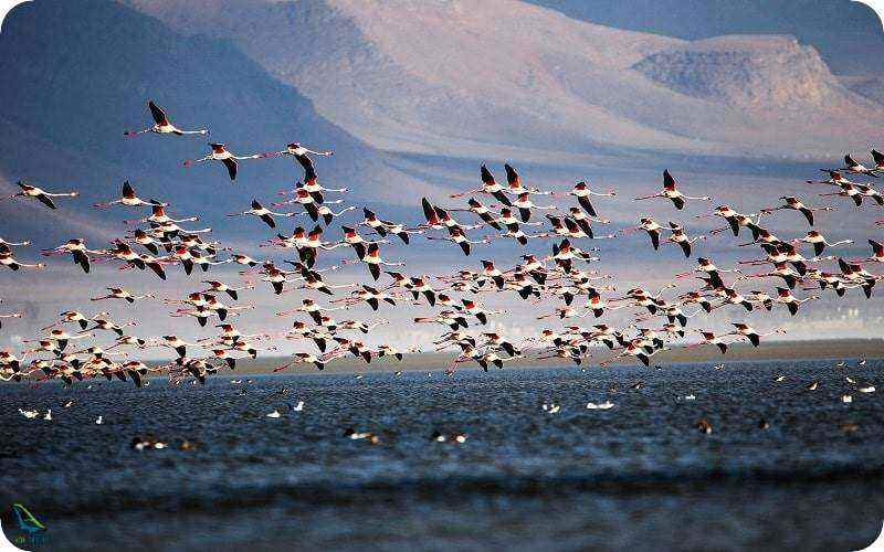 تالاب میقان