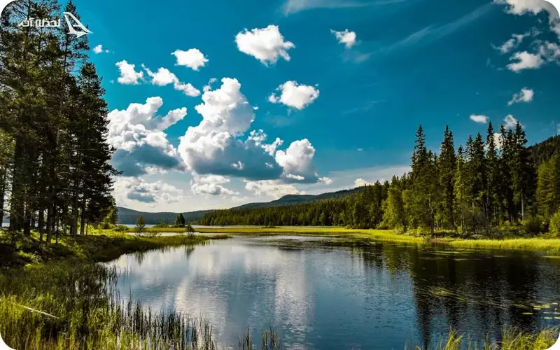 زبان مردم سوئد