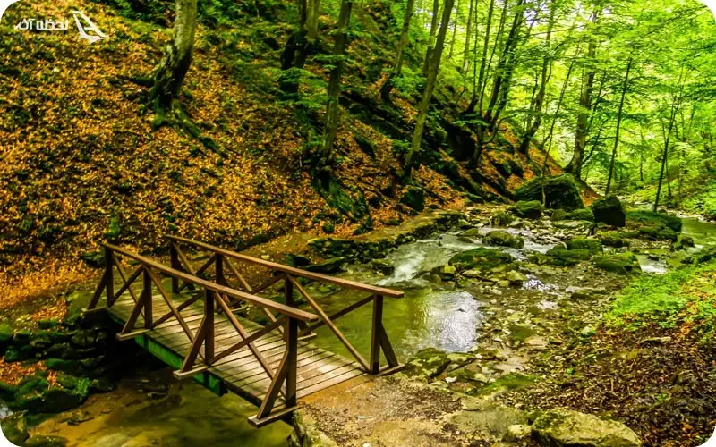 جنگل های بلغارستان