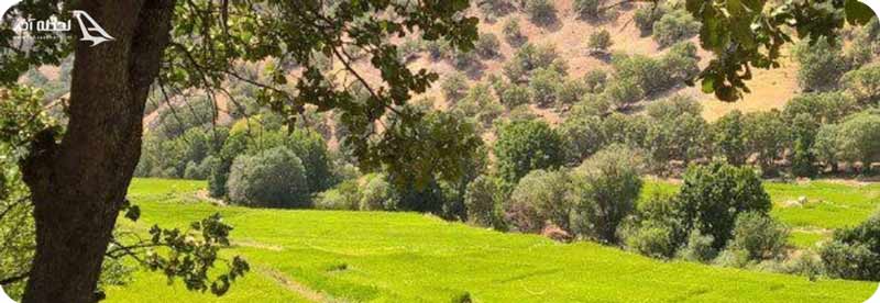 روستای کریک