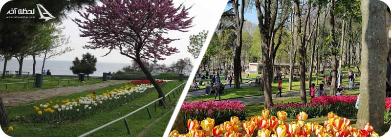 پارک فنر باغچه