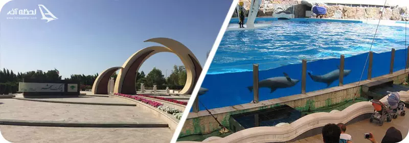 پارک شهر و پارک دلفین کیش