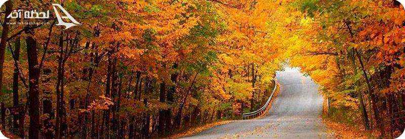 فصل پاییز بهترین طمان سفر به جنگل توسکستان