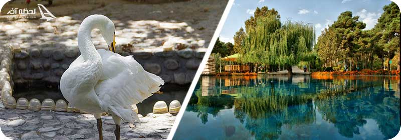 امکانات پارک ساعی