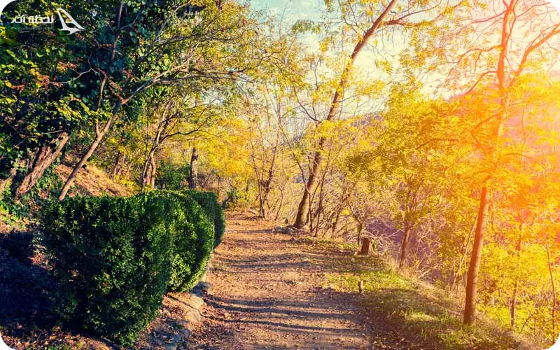 آدرس باغ مجتهدی تفلیس