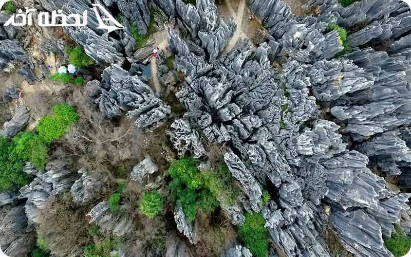 جنگل سنگی یونان