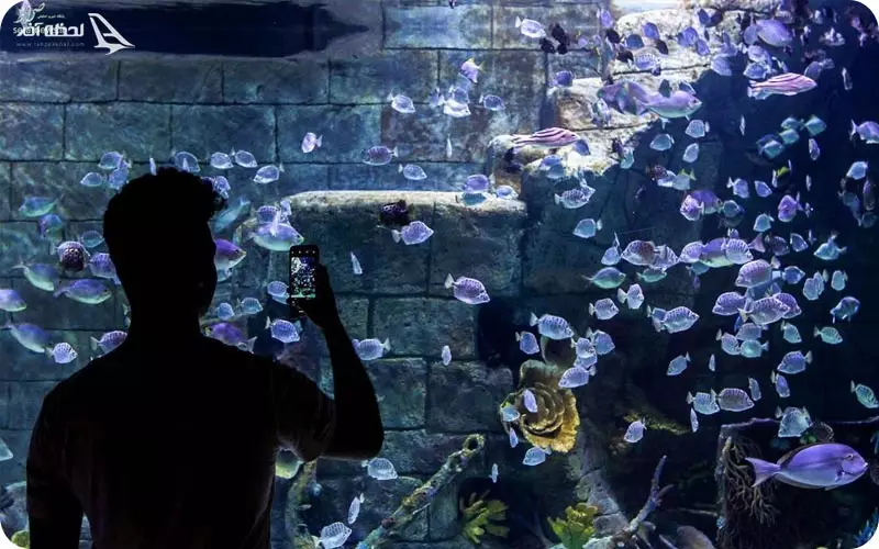 آکواریوم انزلی