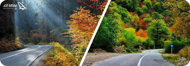 جنگل توسکستان