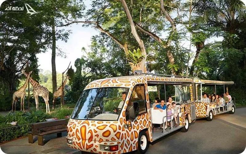 باغ وحش سنگاپور