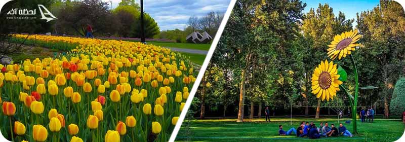 پارک لاله تهران