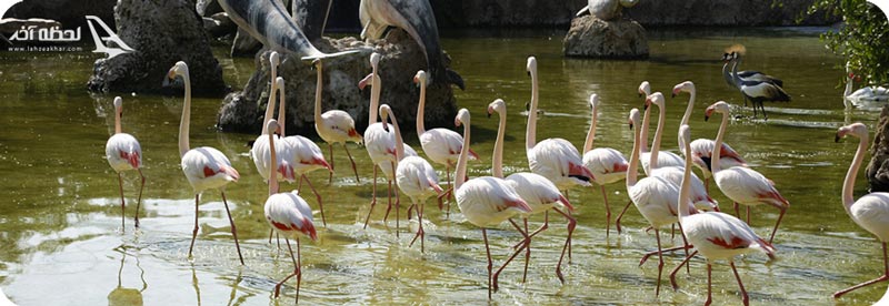 باغ پرندگان تهران