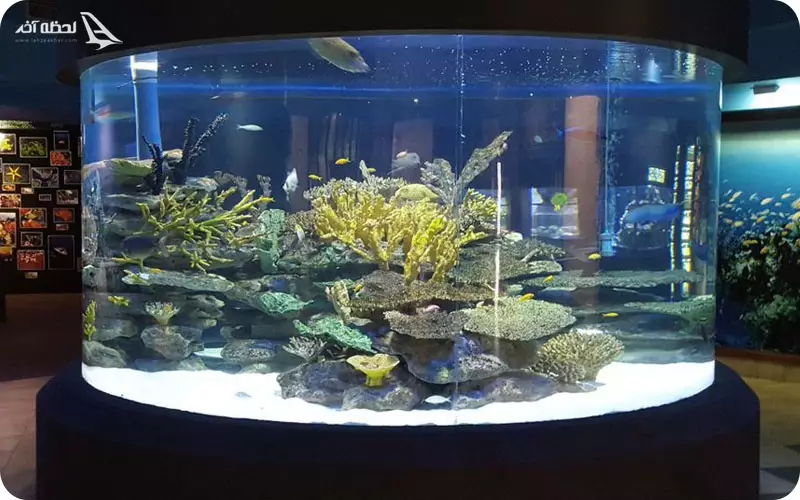 آکواریوم اصفهان