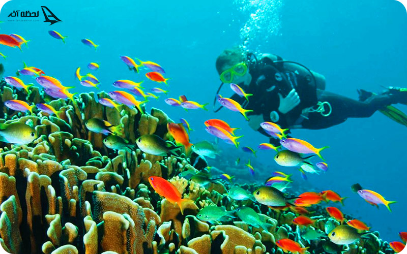 مرکز غواصی قشم