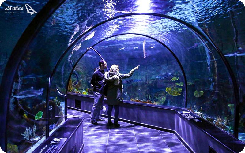 آکواریوم آکوا وگا