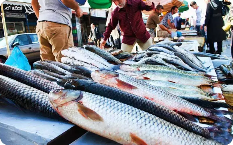 بازار ماهی فروشان بندر انزلی