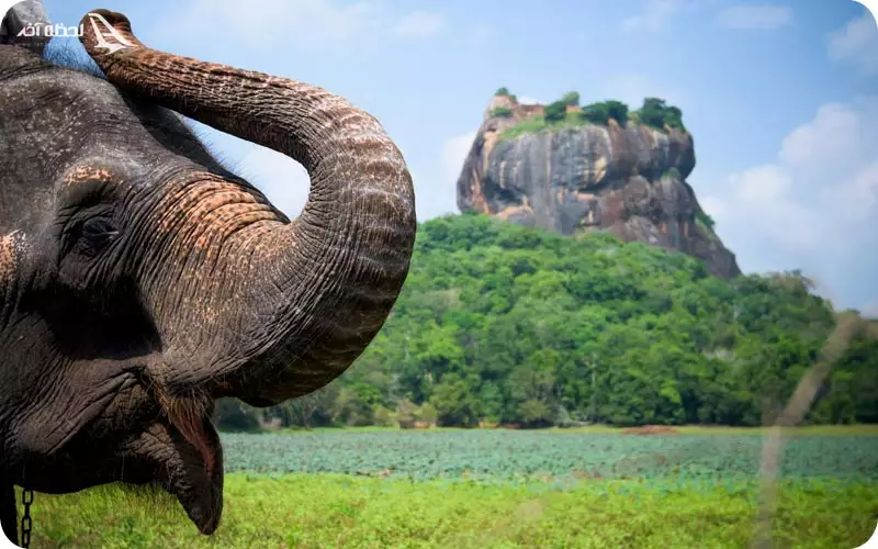 تور سریلانکا