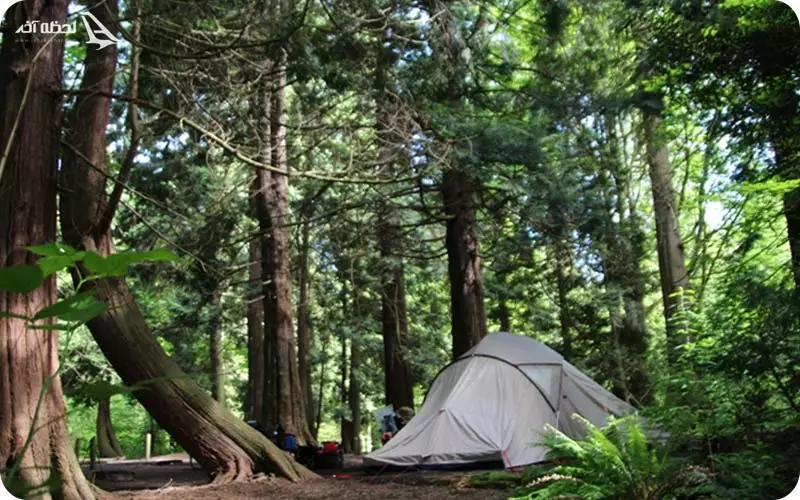 قامت در لاویج