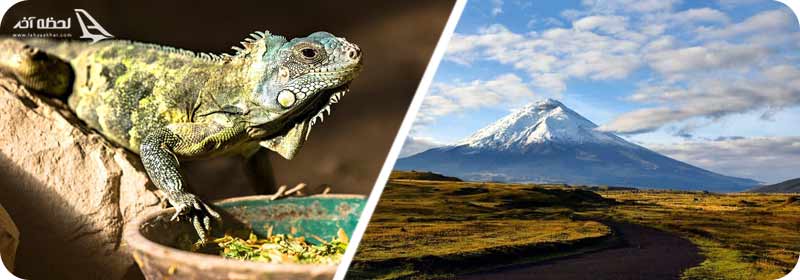 پارک ایگوانا/کوتوپاکسی