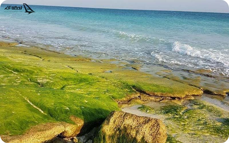 آدرس پارک ساحلی سیمرغ 