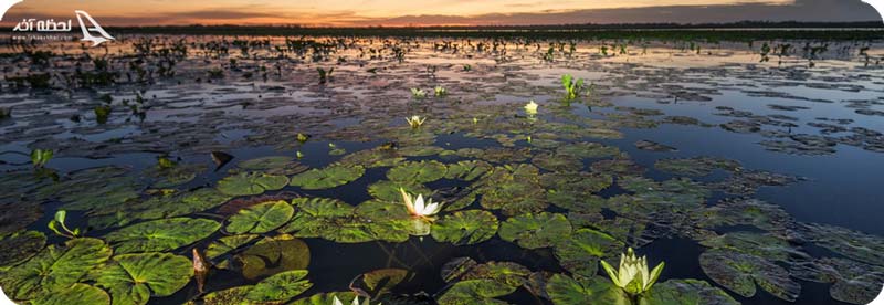 تالاب میانکاله