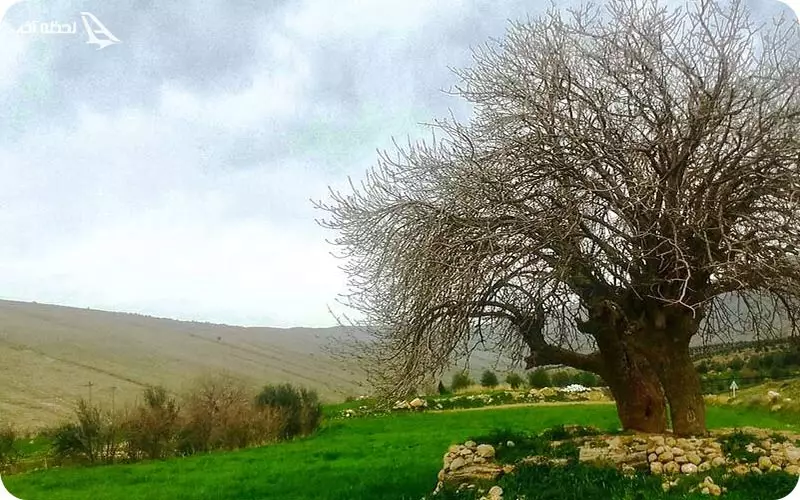 شهر جوانرود