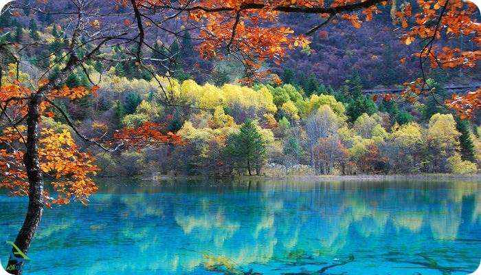 دریاچه آبی نیوزلند