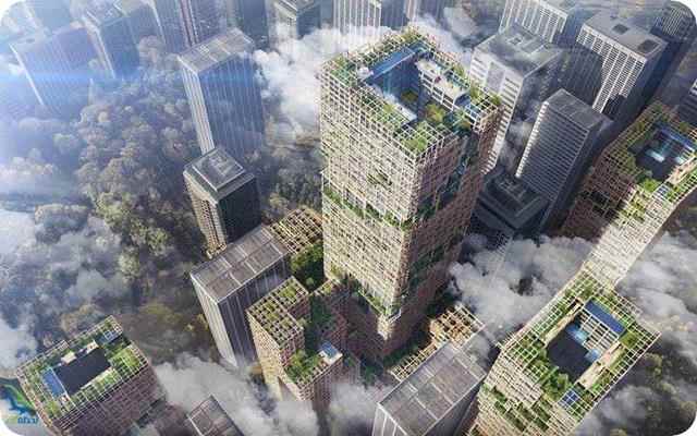 بلندترین برج چوبی جهان