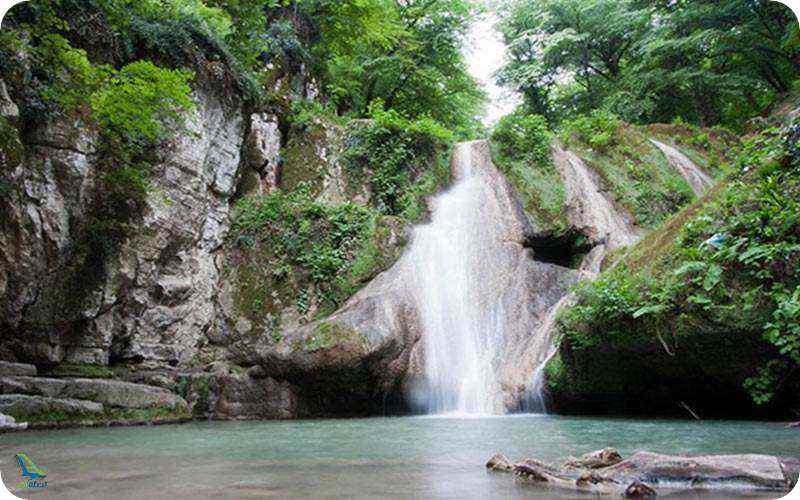 پارک جنگلی رنگو