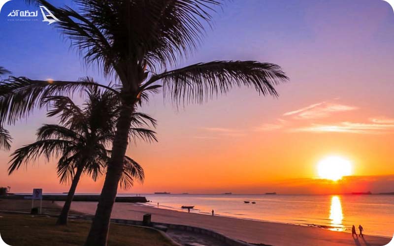 پارک زیتون قشم