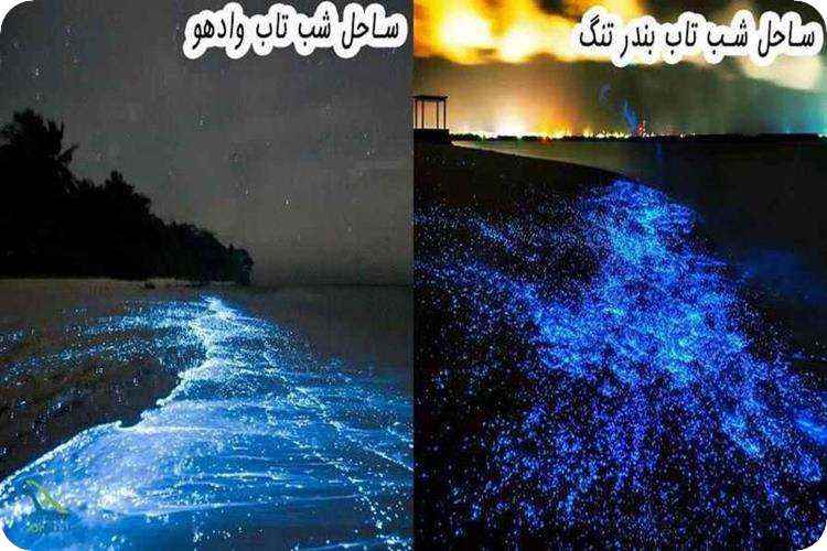 سواحل شب تاب بندر تنگ و دریای بزرگ چابهار و ساحل شب تاب وادهو در مالدیو
