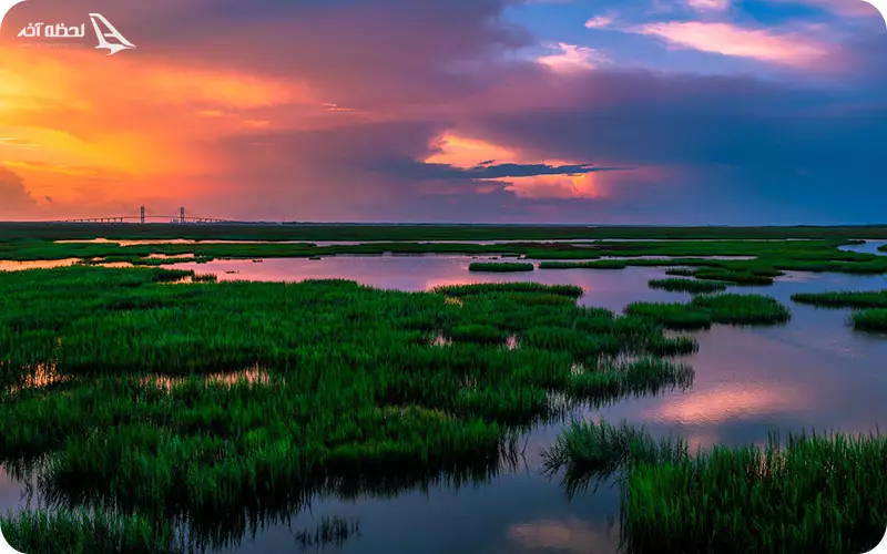 کشور گرجستان چه قوانینی دارد؟